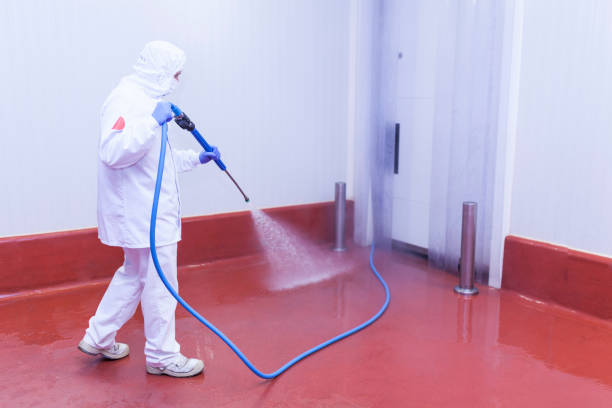 Best Solar Panel Cleaning  in Leisure Village West, NJ